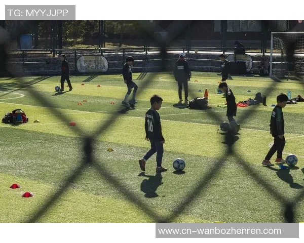 2026年3月份新闻刘静独家分享足球心得与技巧助你提升球技与战术理解